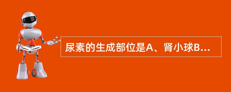 尿素的生成部位是A、肾小球B、肝脏C、集合管D、肾小管E、肾脏