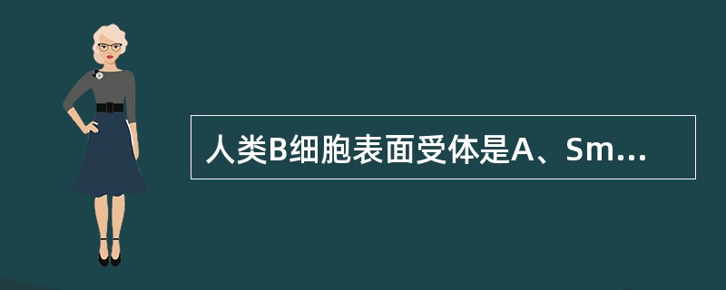 人类B细胞表面受体是A、SmIgB、SRBC受体C、IL£­l受体D、PHA受体