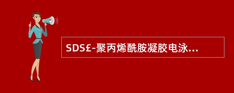 SDS£­聚丙烯酰胺凝胶电泳分离条带,上边为A、中分子物质B、大分子物质C、大中