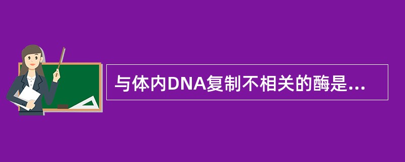 与体内DNA复制不相关的酶是A、反转录酶B、DNA旋转酶C、解旋酶D、引发酶E、