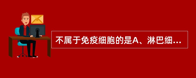 不属于免疫细胞的是A、淋巴细胞B、巨噬细胞C、神经细胞D、树突状细胞E、嗜碱性粒