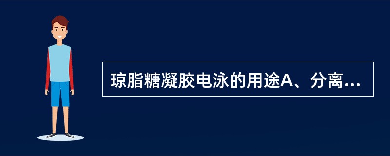 琼脂糖凝胶电泳的用途A、分离和纯化蛋白B、盐的分离C、水的净化D、糖的分离E、核