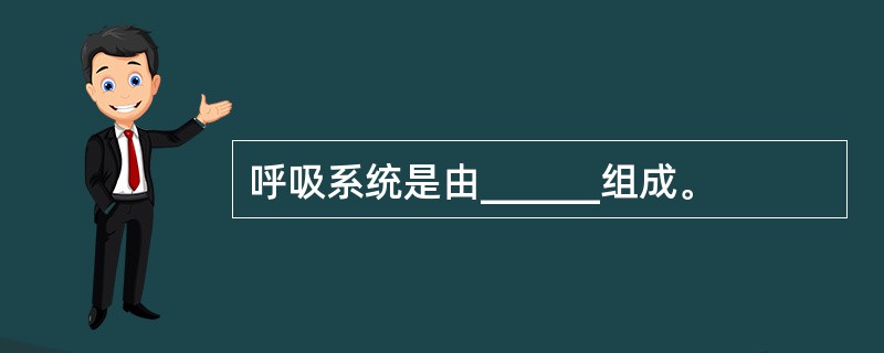 呼吸系统是由______组成。