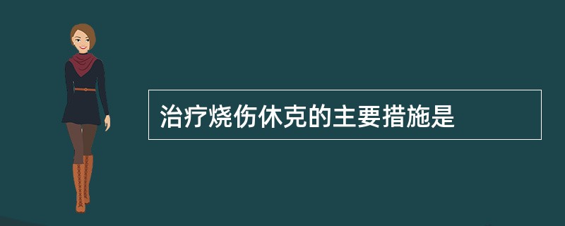 治疗烧伤休克的主要措施是