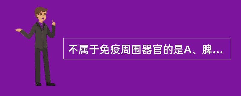 不属于免疫周围器官的是A、脾B、黏膜免疫系统C、干细胞系D、淋巴结E、皮肤免疫系