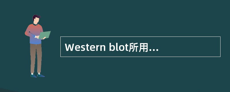 Western blot所用的探针一般为A、双链DNAB、单链DNAC、双链RN