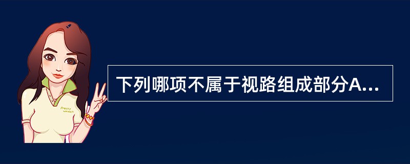 下列哪项不属于视路组成部分A、视交叉和视束B、视网膜和视神经C、外侧膝状体D、视