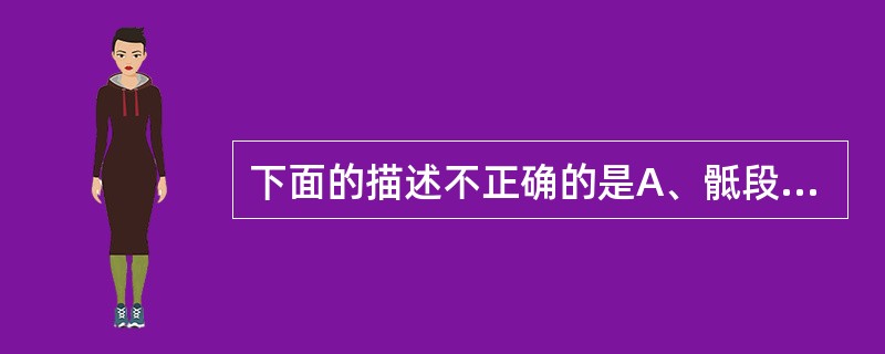 下面的描述不正确的是A、骶段椎管呈扁三角形B、胸段椎管大致呈椭圆形C、腰段下部椎