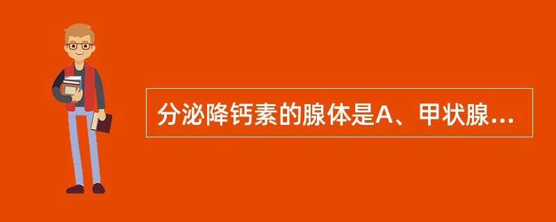 分泌降钙素的腺体是A、甲状腺C细胞B、甲状旁腺C、肾上腺D、胰岛E、肾上腺髓质