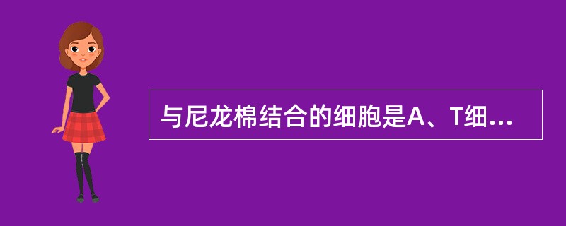 与尼龙棉结合的细胞是A、T细胞B、B细胞C、粒细胞D、单核细胞E、血小板