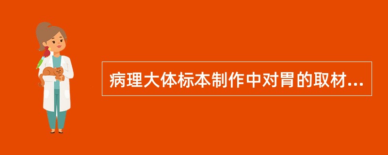 病理大体标本制作中对胃的取材,不正确的是A、先把浆膜面附带的脂肪修剪掉B、沿胃大