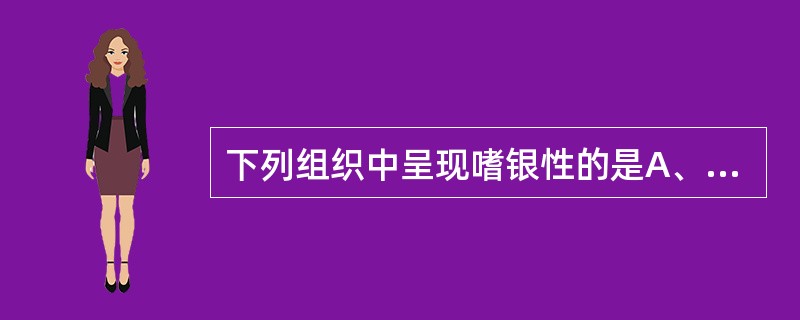 下列组织中呈现嗜银性的是A、胶原纤维B、弹力纤维C、网状纤维D、肌纤维E、神经胶