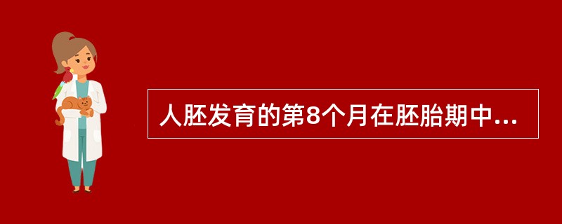 人胚发育的第8个月在胚胎期中属于