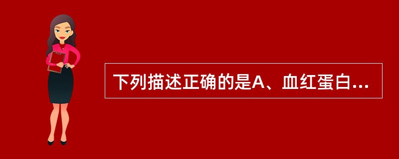 下列描述正确的是A、血红蛋白所含铁离子均为三价铁B、正常成人血红蛋白主要是HbF