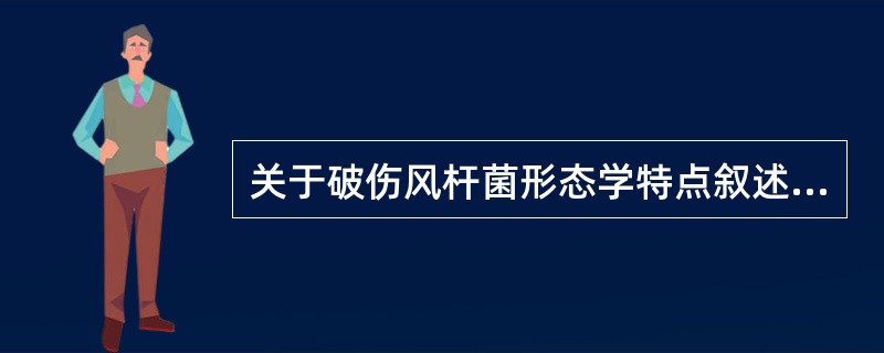 关于破伤风杆菌形态学特点叙述正确的是A、革兰阴性杆菌B、革兰阴性球菌C、革兰阳性