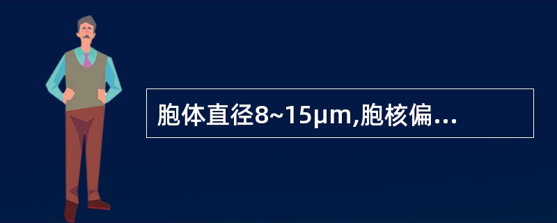 胞体直径8~15μm,胞核偏位,核染色质常排列成车轮状,胞质丰富、染蓝色或红蓝相