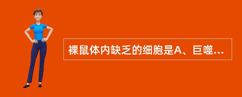 裸鼠体内缺乏的细胞是A、巨噬细胞B、T淋巴细胞C、B淋巴细胞D、上皮细胞E、内皮