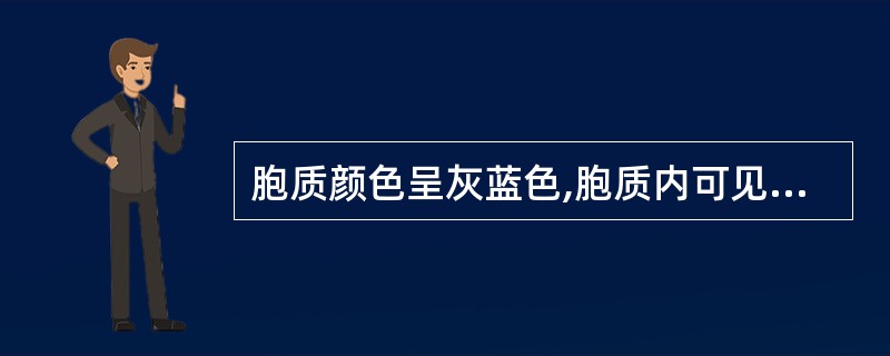 胞质颜色呈灰蓝色,胞质内可见细小的、分散均匀的灰尘样紫红色天青胺蓝颗粒的细胞是