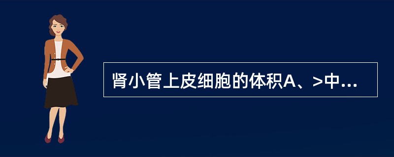 肾小管上皮细胞的体积A、>中性粒细胞B、淋巴细胞D、单核细胞