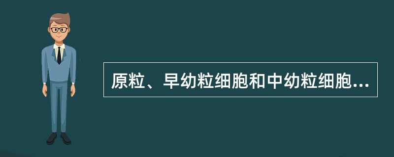 原粒、早幼粒细胞和中幼粒细胞存在于