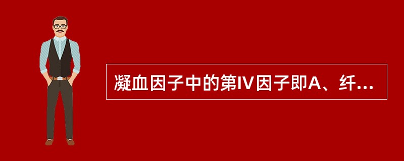 凝血因子中的第Ⅳ因子即A、纤维蛋白稳定因子B、凝血酶原C、钙离子D、易变因子E、