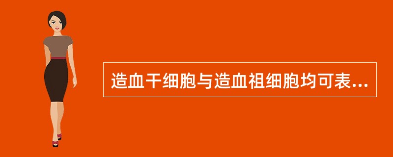 造血干细胞与造血祖细胞均可表达的是