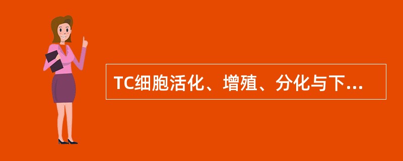 TC细胞活化、增殖、分化与下列哪种成分无关( )A、协同刺激分子受体B、MHC£