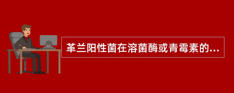 革兰阳性菌在溶菌酶或青霉素的作用下形成的细菌L型为A、原生质体B、原生质球C、细