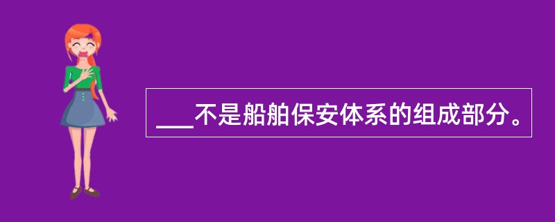 ___不是船舶保安体系的组成部分。