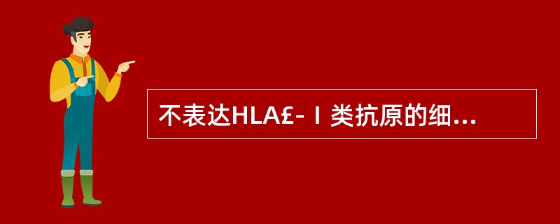 不表达HLA£­Ⅰ类抗原的细胞A、单核细胞B、B淋巴细胞C、皮肤细胞D、T淋巴细