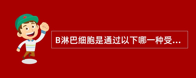B淋巴细胞是通过以下哪一种受体特异性识别抗原的( )A、IgG Fc抗体B、E受