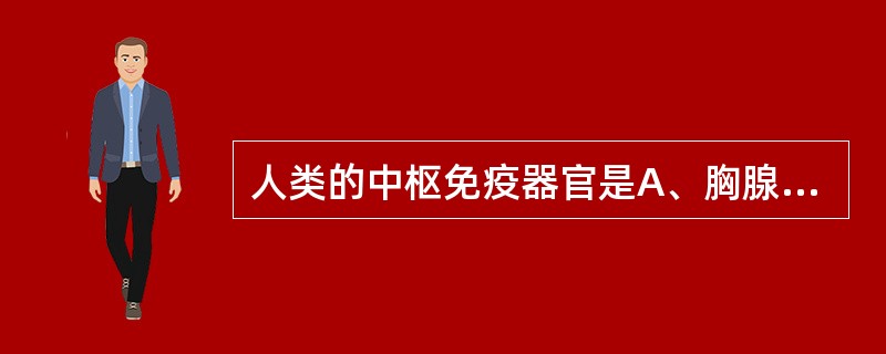 人类的中枢免疫器官是A、胸腺和淋巴结B、骨髓和黏膜免疫系统C、脾脏和淋巴结D、胸