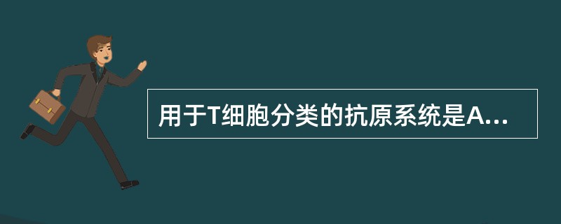 用于T细胞分类的抗原系统是A、HLA抗原B、ABO抗原C、CD抗原D、Rh抗原E