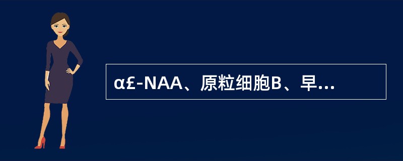 α£­NAA、原粒细胞B、早幼粒细胞C、中幼粒细胞D、幼单核细胞E、幼淋巴细胞