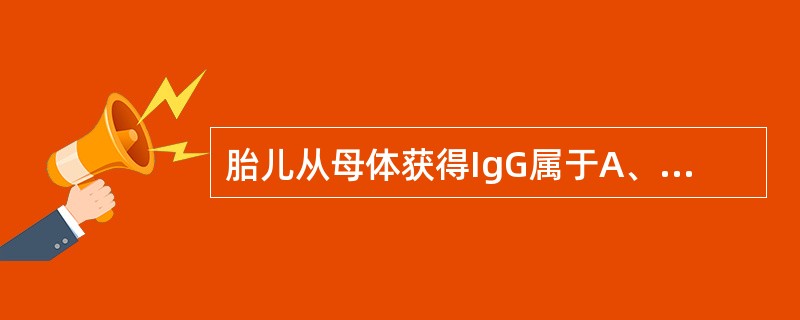 胎儿从母体获得IgG属于A、过继免疫B、人工被动免疫C、自然被动免疫D、人工主动