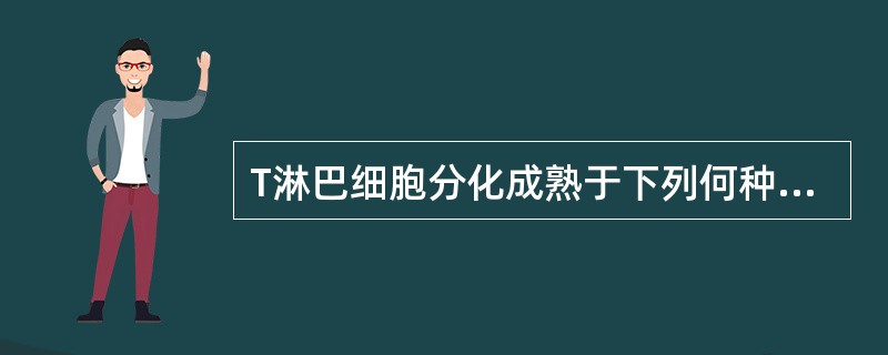 T淋巴细胞分化成熟于下列何种免疫器官A、脾脏B、骨髓C、胸腺D、卵黄囊E、淋巴结