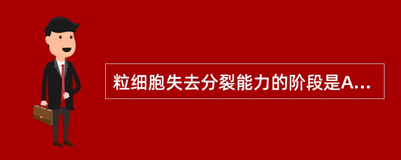 粒细胞失去分裂能力的阶段是A、原始粒细胞B、早幼粒细胞C、中幼粒细胞D、晚幼粒细