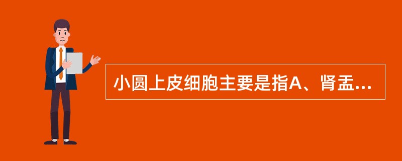 小圆上皮细胞主要是指A、肾盂上皮细胞B、输尿管上皮细胞C、膀胱上皮细胞D、尿道上