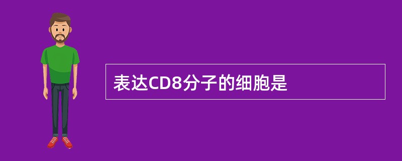 表达CD8分子的细胞是