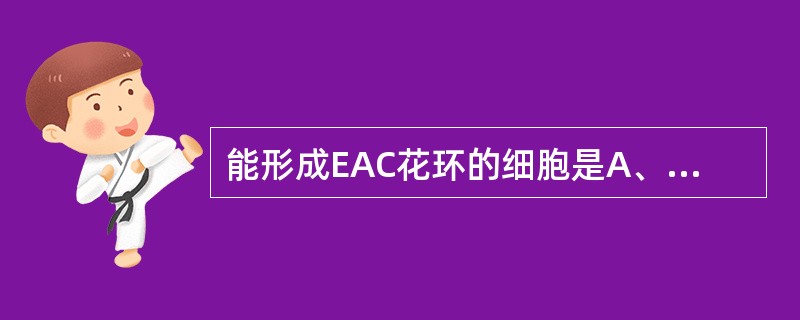 能形成EAC花环的细胞是A、T细胞B、K细胞C、B细胞D、淋巴细胞E、NK细胞