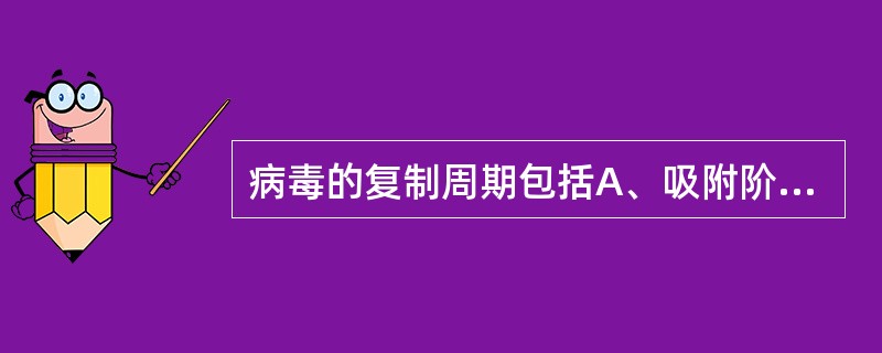 病毒的复制周期包括A、吸附阶段B、活性阶段C、静止阶段D、无活性阶段E、易感阶段