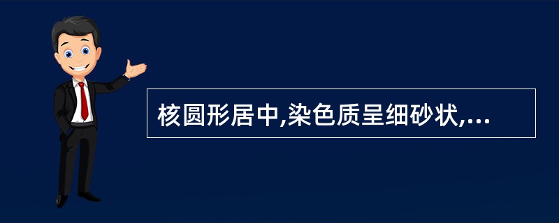 核圆形居中,染色质呈细砂状,分布均匀,核仁2~5个,小而清晰,胞质天蓝色,属