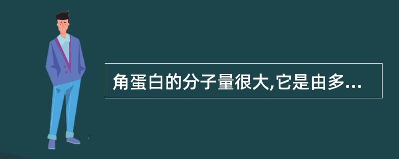 角蛋白的分子量很大,它是由多条肽链排列而成的,链与链之间主要以硫键和氢键连接,等
