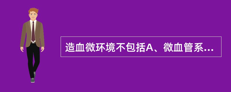 造血微环境不包括A、微血管系统B、末梢神经C、间充质干细胞D、网状细胞E、基质