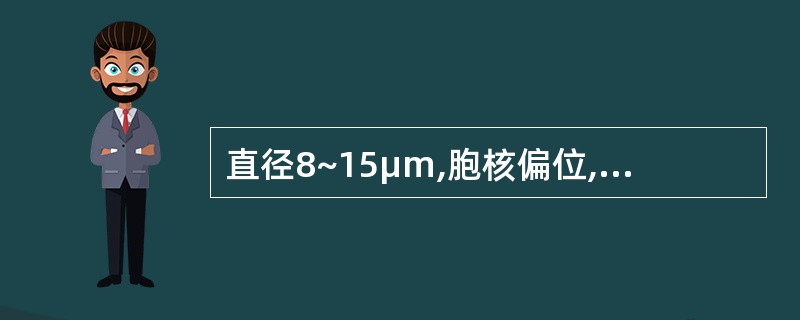 直径8~15μm,胞核偏位,核染色质常排列成车轮状,胞浆丰富、染蓝色或红蓝相混的