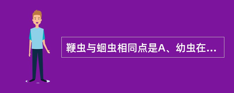 鞭虫与蛔虫相同点是A、幼虫在人体内移行途径B、成虫的寄生部位C、虫体对人体的致病