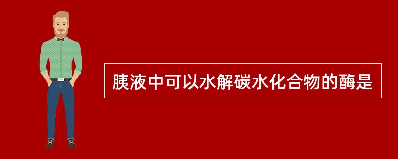 胰液中可以水解碳水化合物的酶是