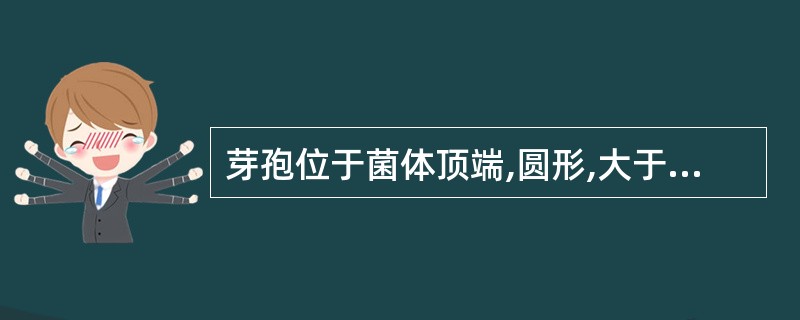 芽孢位于菌体顶端,圆形,大于菌体的细菌是A、产气荚膜杆菌B、破伤风杆菌C、炭疽芽