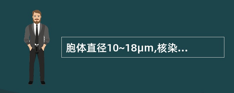 胞体直径10~18μm,核染色质细致,颗粒状排列均匀、平坦,核仁25个,界限清楚