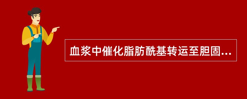 血浆中催化脂肪酰基转运至胆固醇生成胆固醇酯的酶是A、血浆卵磷脂胆固醇脂酰转移酶B